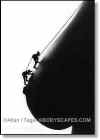 noiretblanc.jpg (8012 octets)